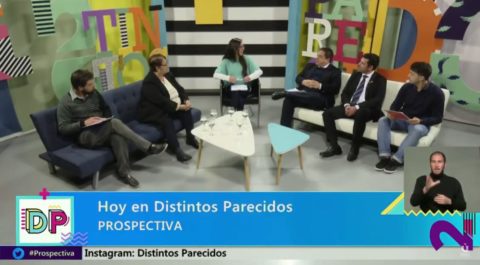 Programa DISTINTOS PARECIDOS: PROSPECTIVA