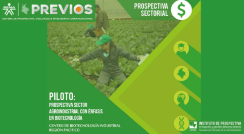 Prospectiva Sectorial. Caso piloto: Agroindustrial con énfasis en biotecnología. Prospectiva sectorial. Previos SENA